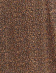 Leopard Print Valentina Long Sleeve Mini Dress