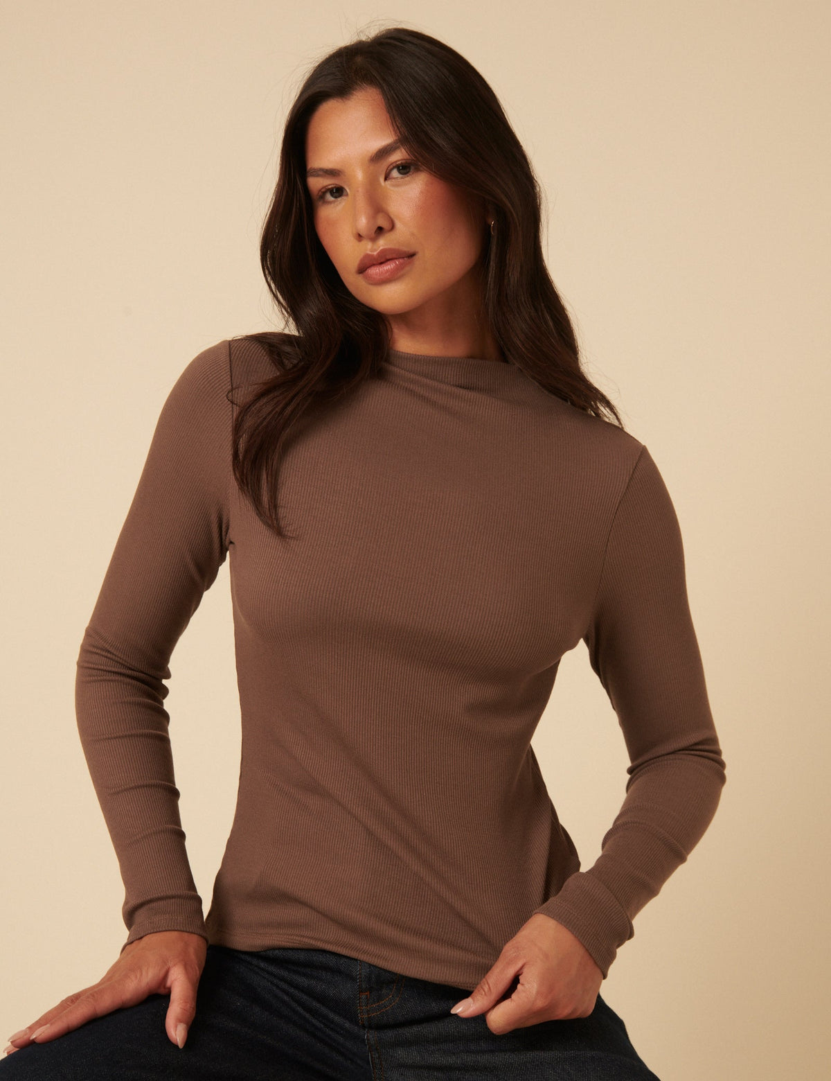 Brown Ribbed High Neck Top