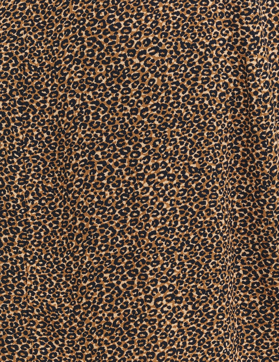 Leopard Print Valentina Long Sleeve Mini Dress